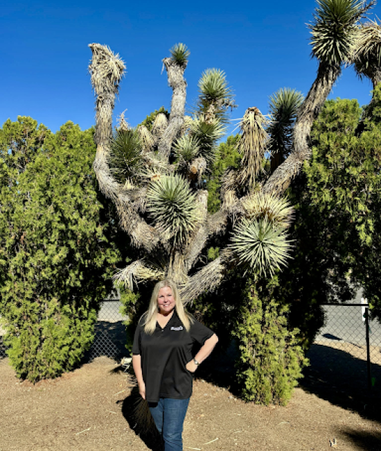 women Owner black Blind